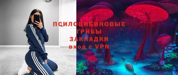 тгк Алзамай