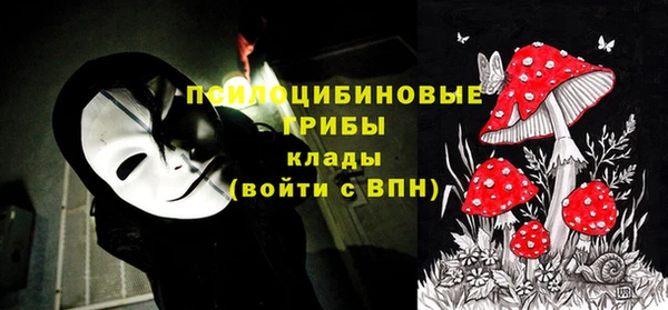 стафф Алексин