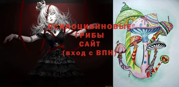 тгк Алзамай