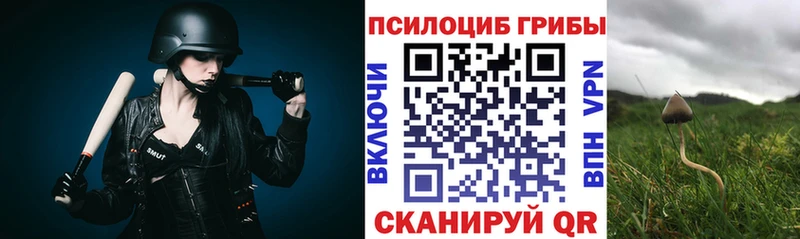 хочу наркоту  Пласт  OMG как зайти  Галлюциногенные грибы Psilocybine cubensis 